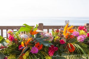 IMG_5282