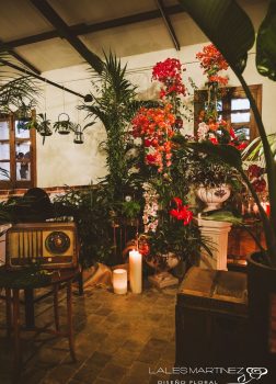 Decoración de estilo tropical