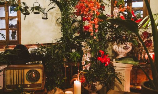 Decoración de estilo tropical