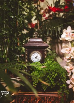 Ambientación tropical.