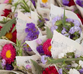 Conos de flores y pétalos