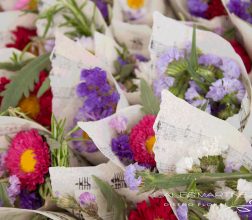 Conos de flores y pétalos