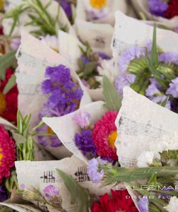 Conos de flores y pétalos