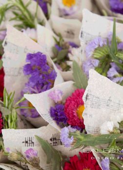 Conos de flores y pétalos