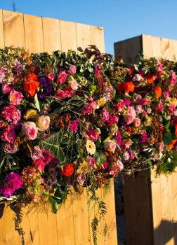 Fondo de ceremonia. Playa de los Genoveses