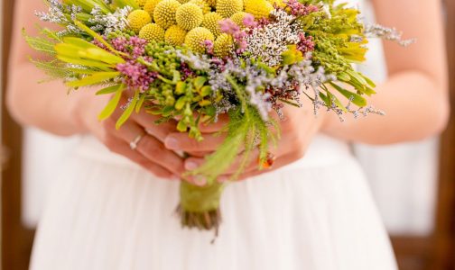 RAMO DE NOVIA DE CRASPEDIAS