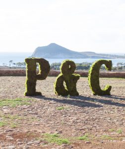 Letras XL de musgo