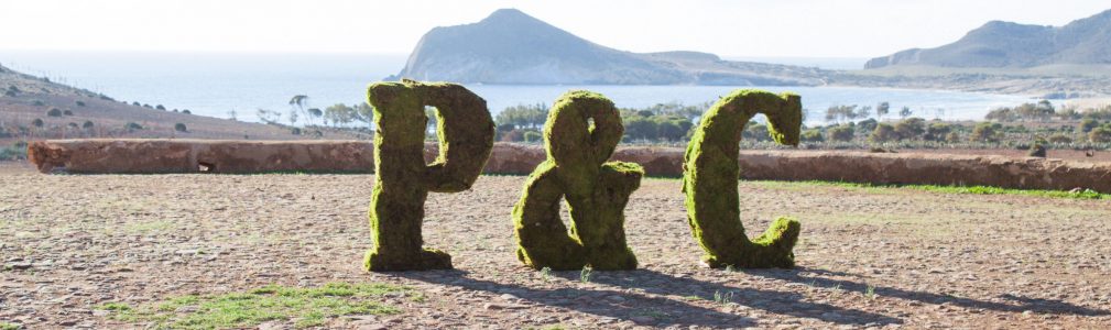 Letras XL de musgo