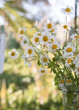 Decoración con flores silvestres
