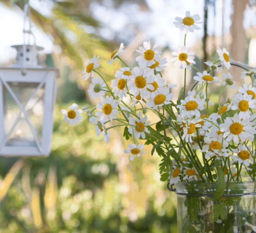 Decoración con flores silvestres