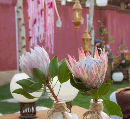 Ambientación Boho